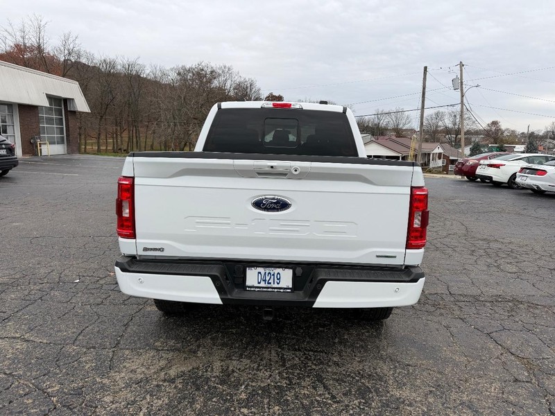 Ford F-150 Vehicle Image 04
