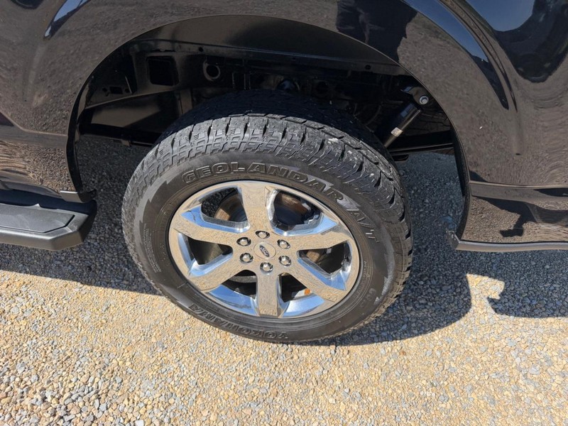 Ford F-150 Vehicle Image 06