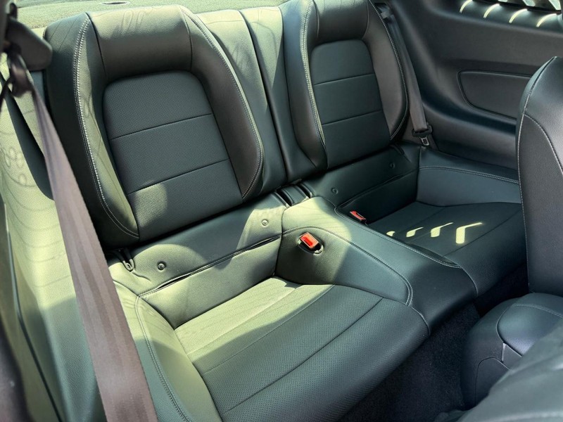 Ford Mustang Vehicle Image 06