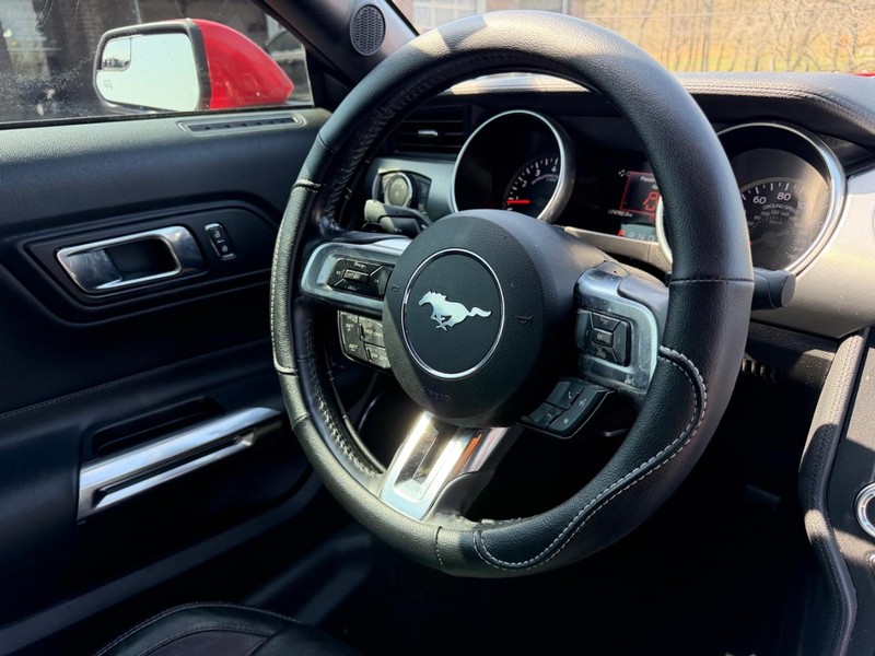 Ford Mustang Vehicle Image 08