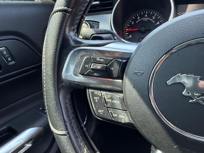 Ford Mustang Vehicle Image 09