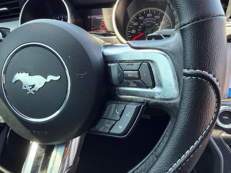 Ford Mustang Vehicle Image 10