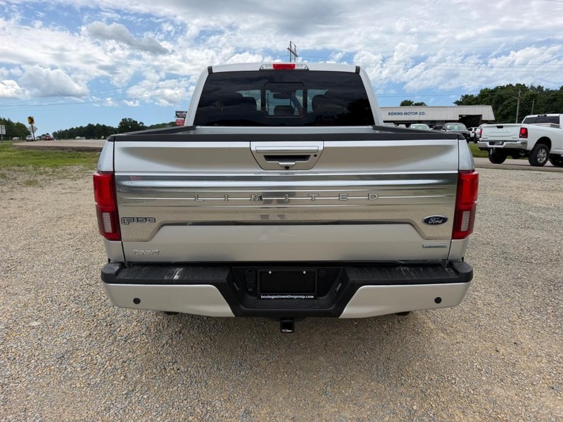 Ford F-150 Vehicle Image 04