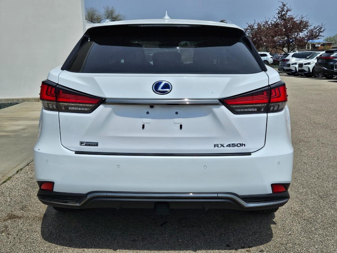 Lexus RX Vehicle Image 04