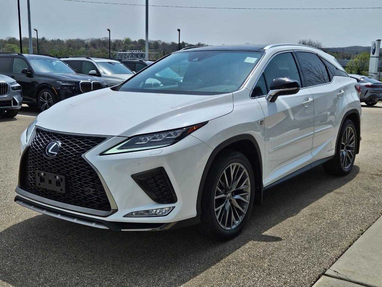 Lexus RX Vehicle Image 07
