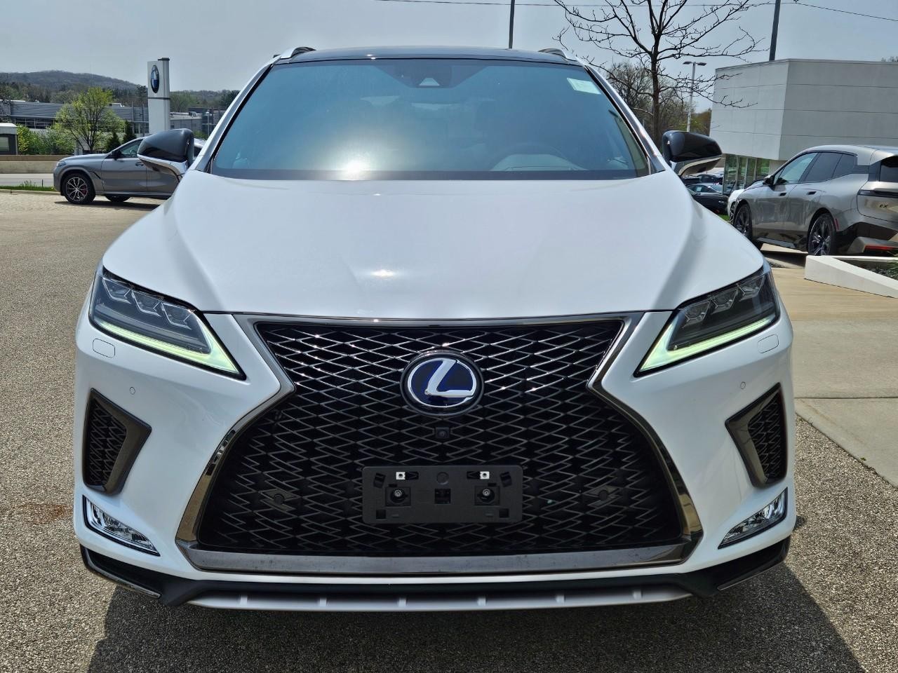 Lexus RX Vehicle Image 08