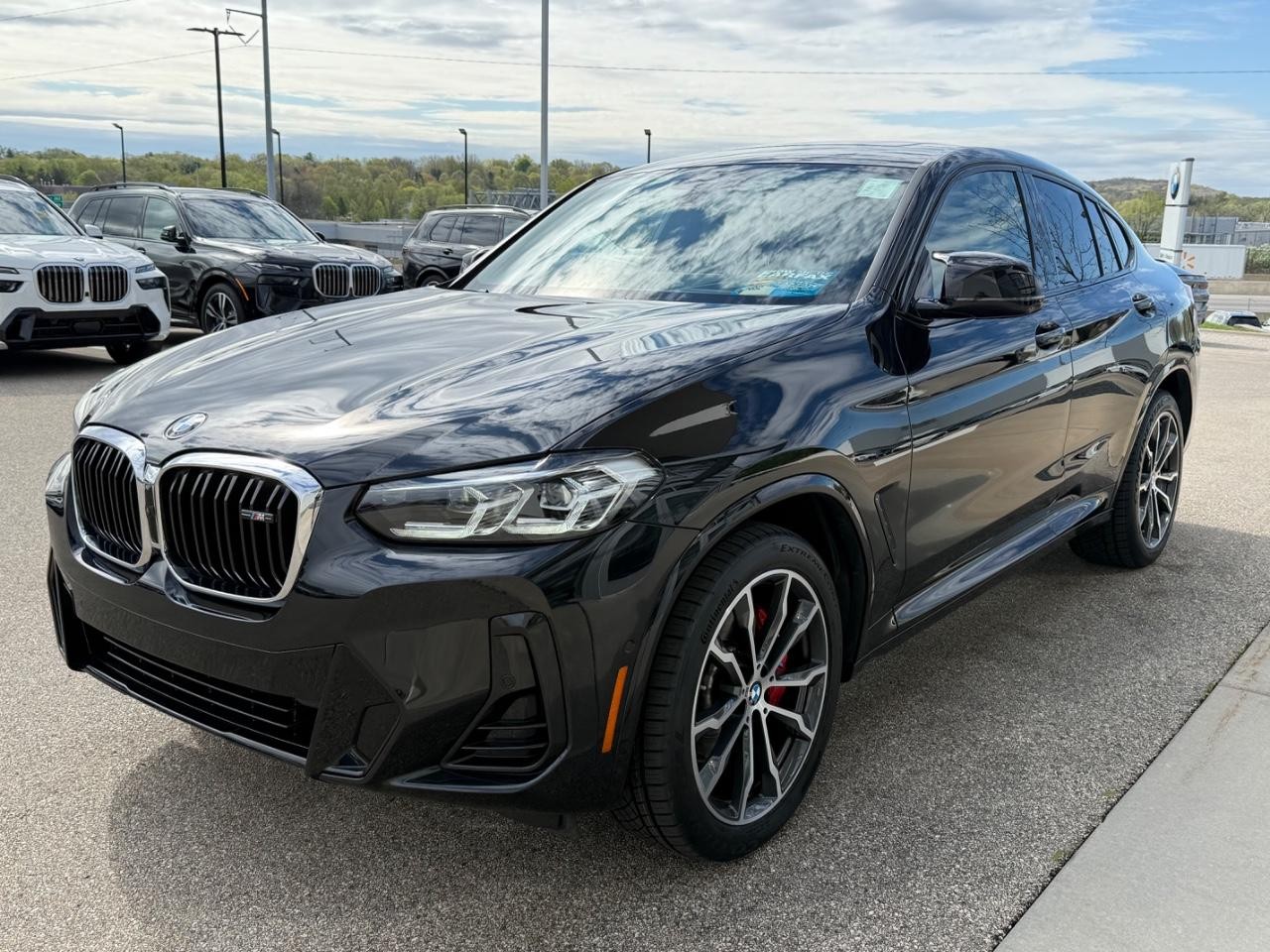 BMW X4 Vehicle Image 08