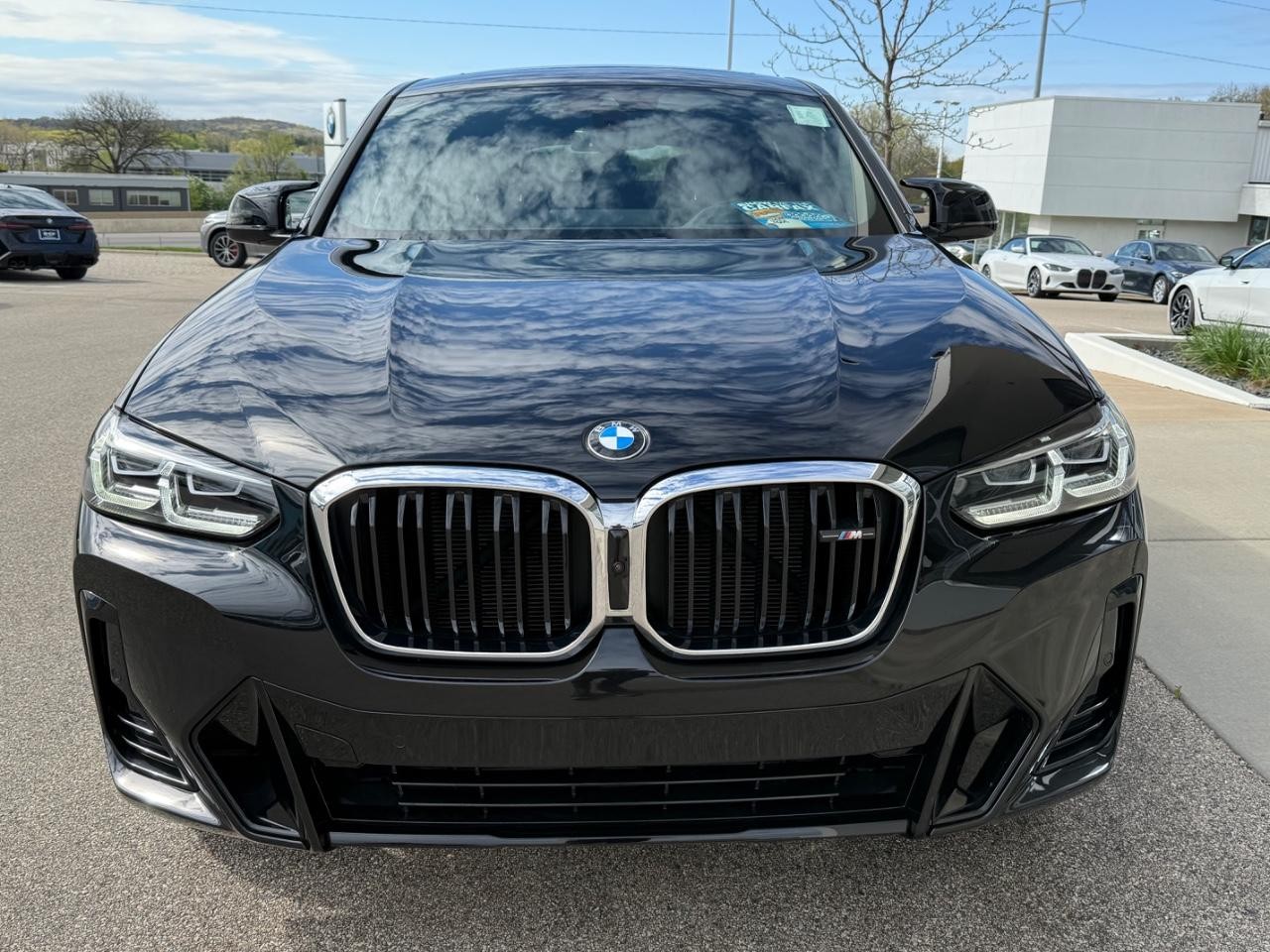 BMW X4 Vehicle Image 09