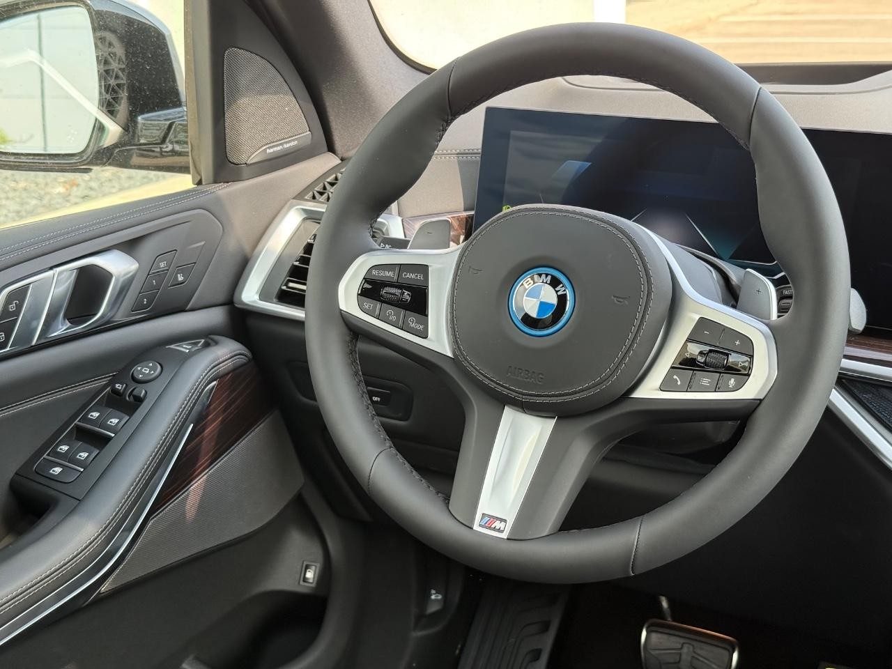 BMW X5 Vehicle Image 09