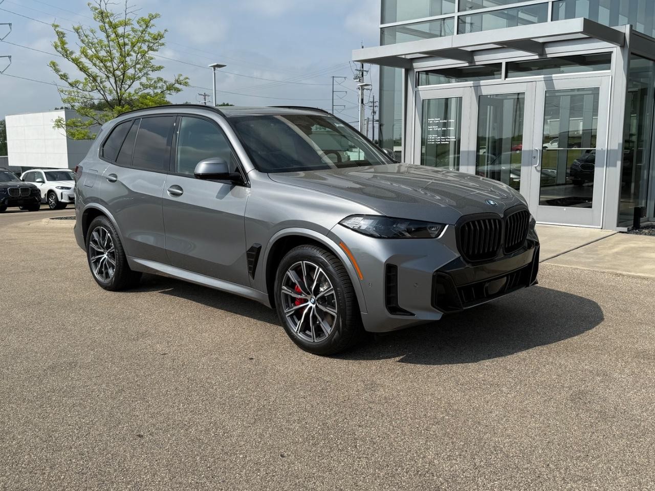 BMW X5 Vehicle Image 04