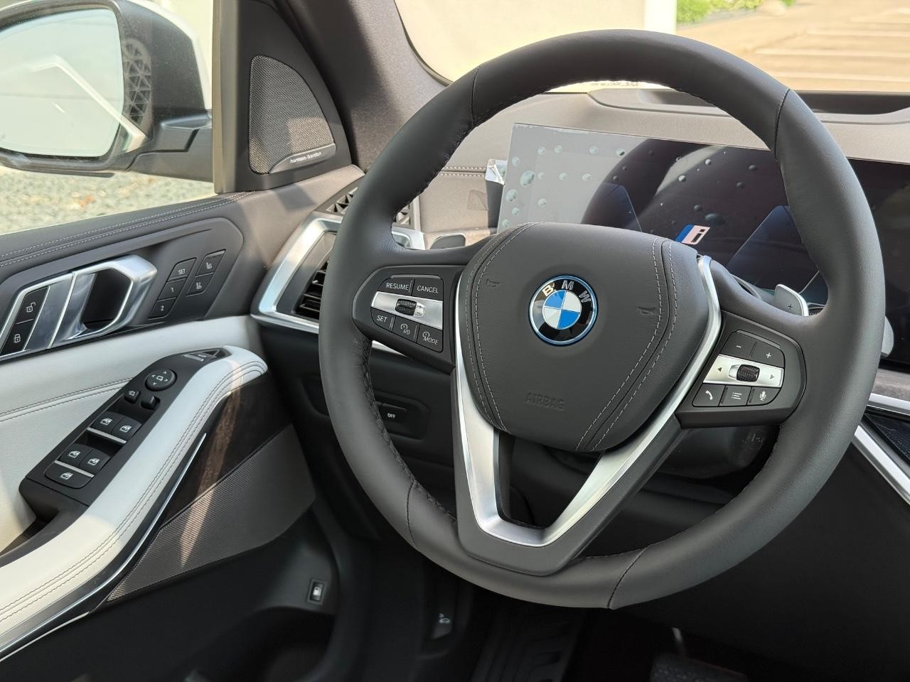 BMW X5 Vehicle Image 09