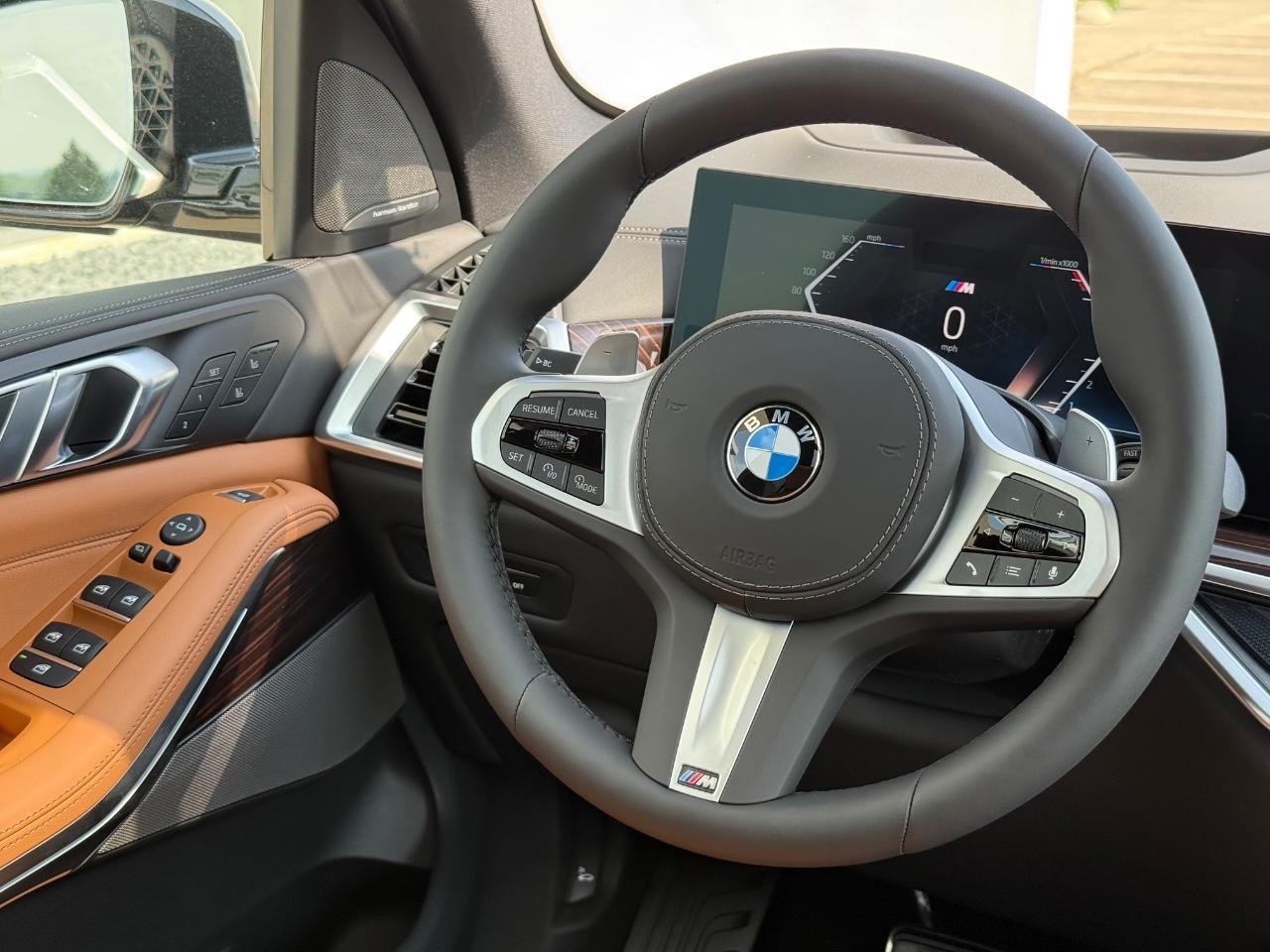 BMW X5 Vehicle Image 09