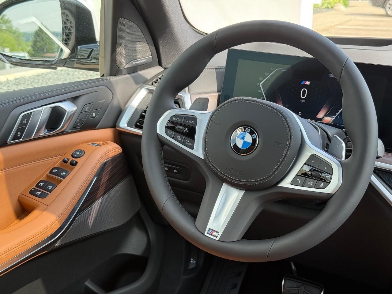 BMW X5 Vehicle Image 09