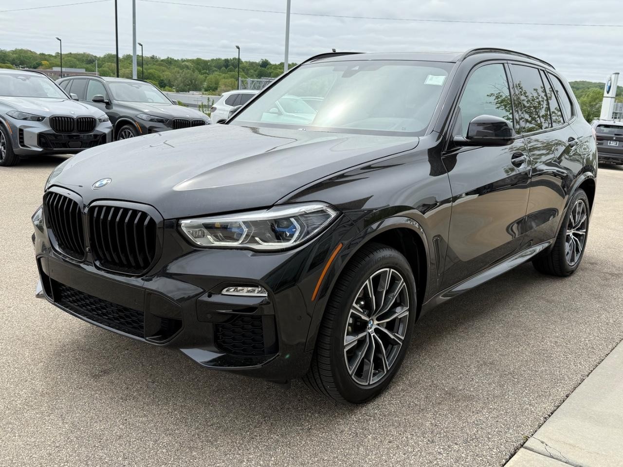 BMW X5 Vehicle Image 08