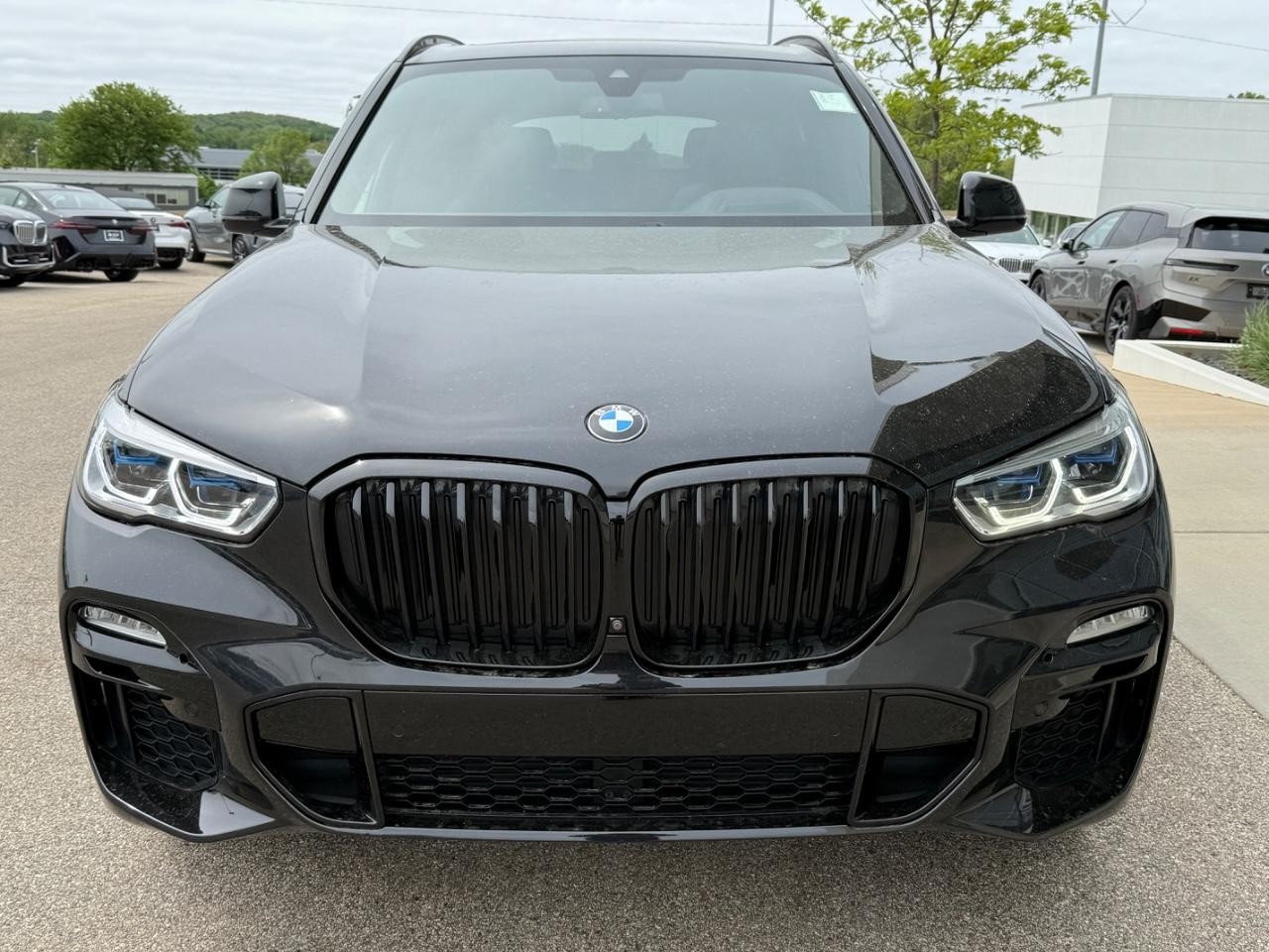 BMW X5 Vehicle Image 09