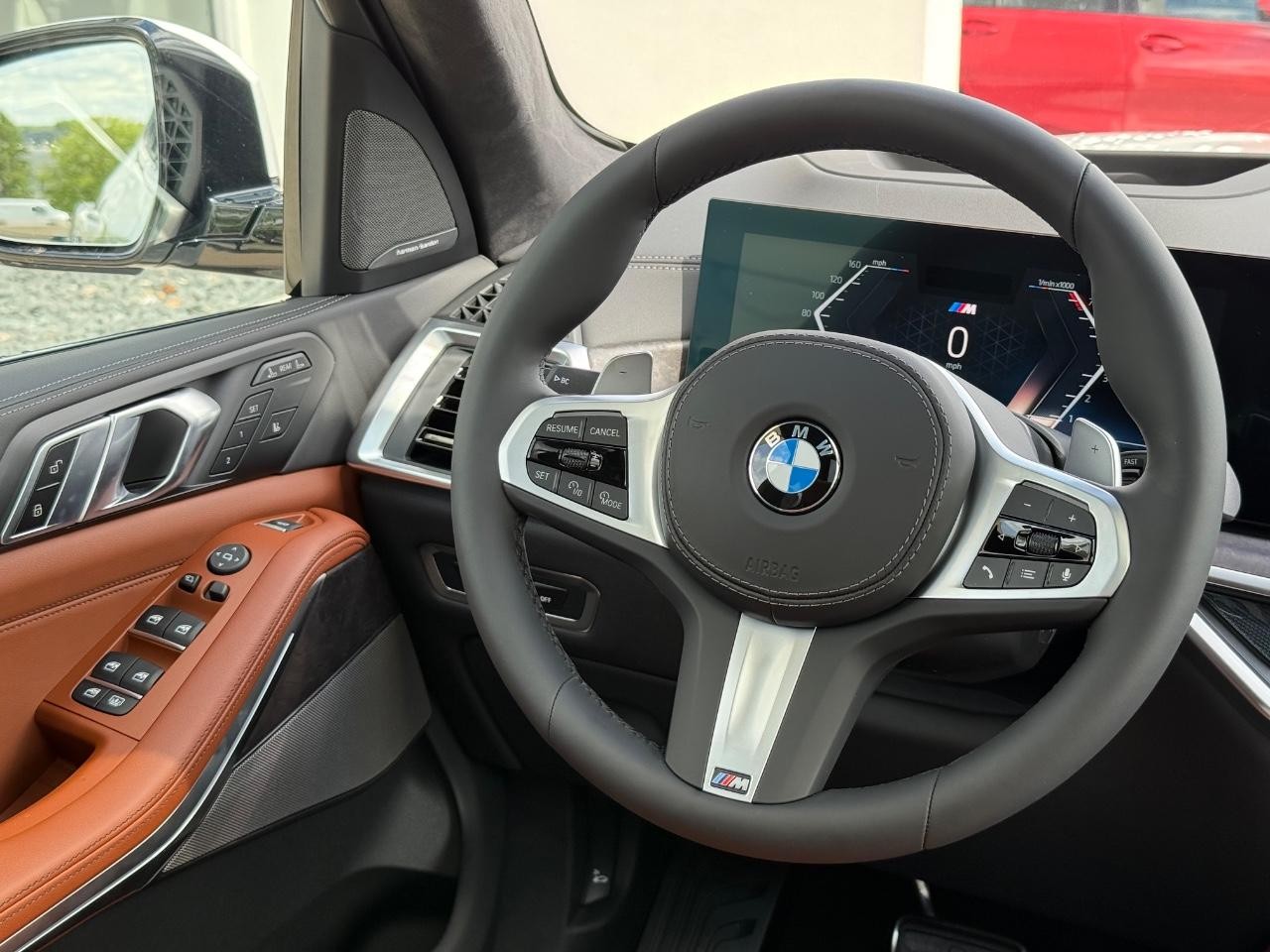 BMW X7 Vehicle Image 09