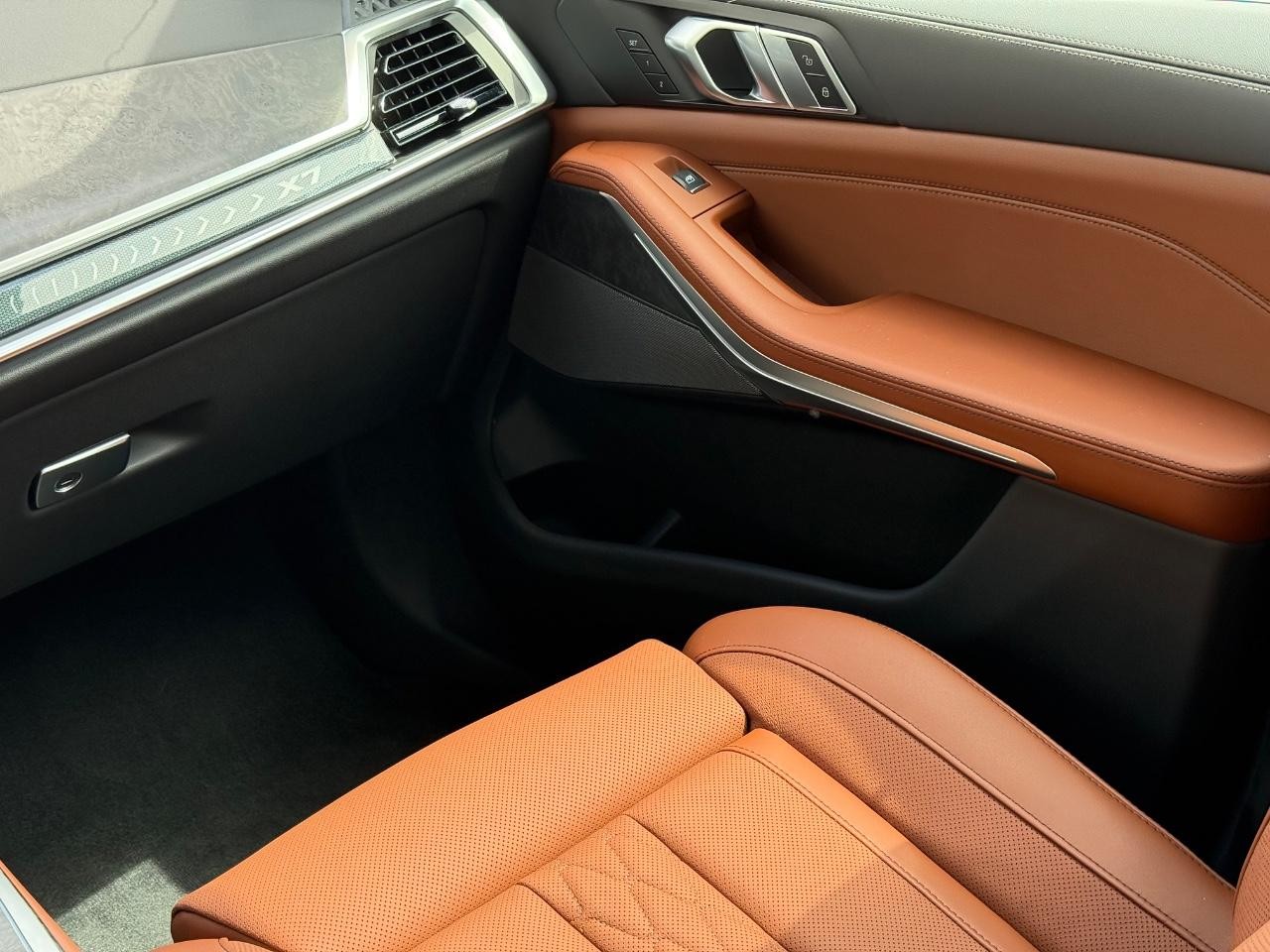 BMW X7 Vehicle Image 10