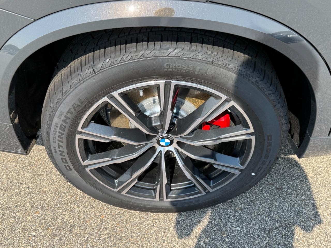 BMW X5 Vehicle Image 04