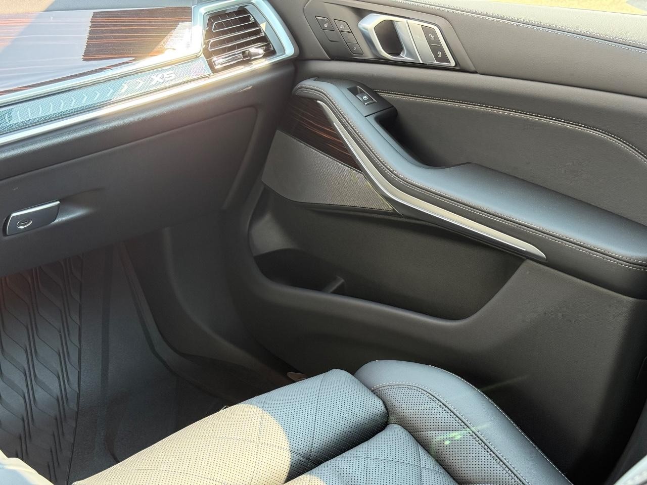 BMW X5 Vehicle Image 10