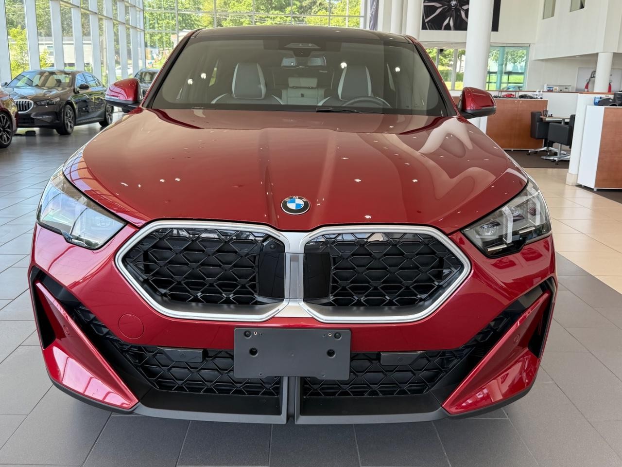 BMW X2 Vehicle Image 08