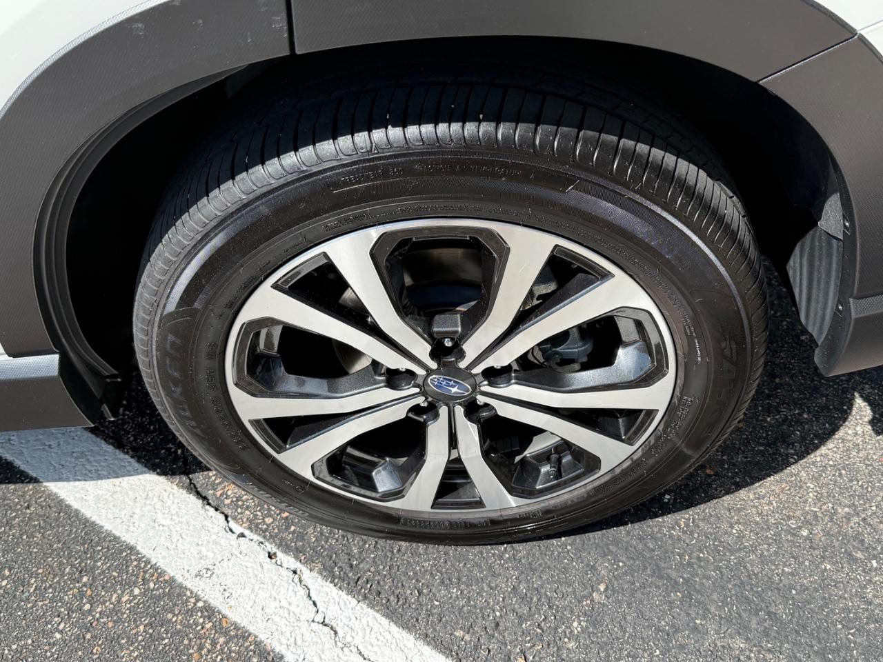 Subaru Forester Vehicle Image 06