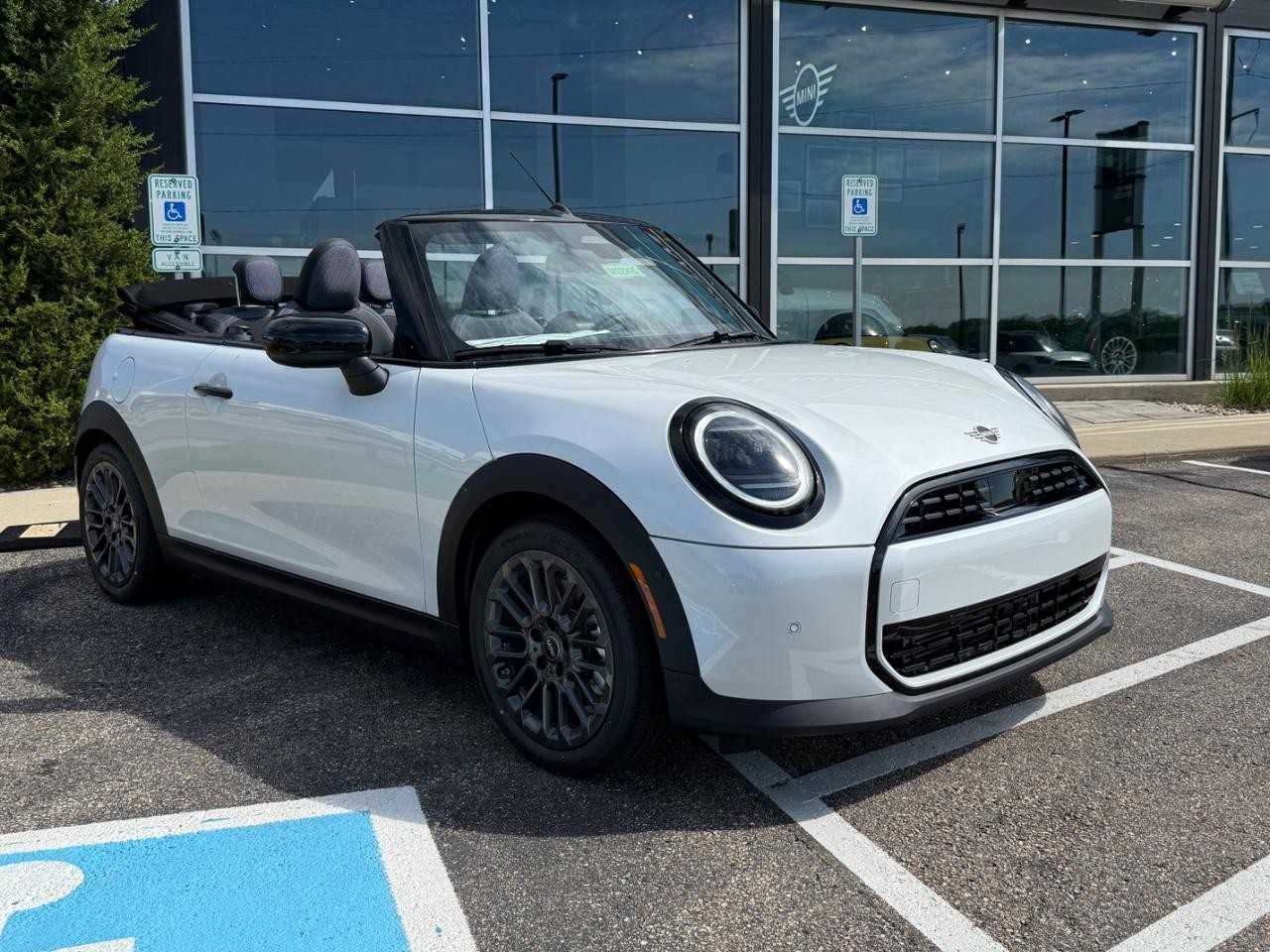MINI Convertible Vehicle Image 05