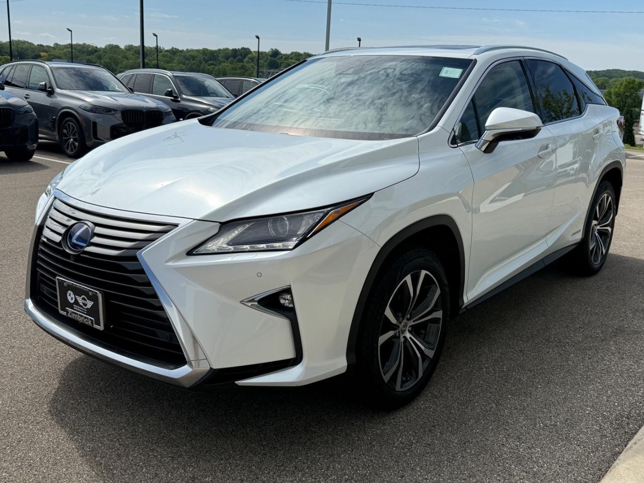 Lexus RX 450h Vehicle Image 08