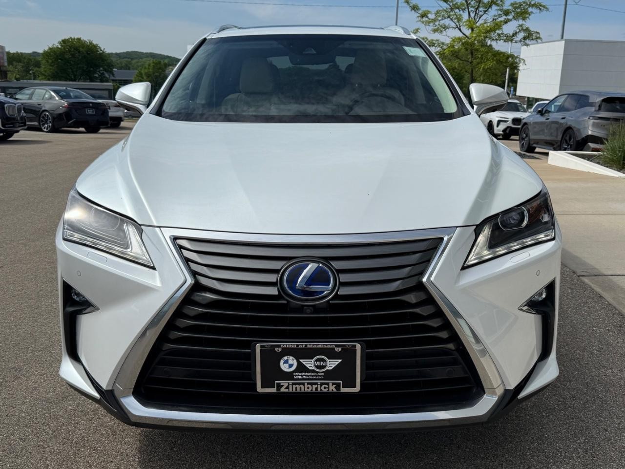 Lexus RX 450h Vehicle Image 09