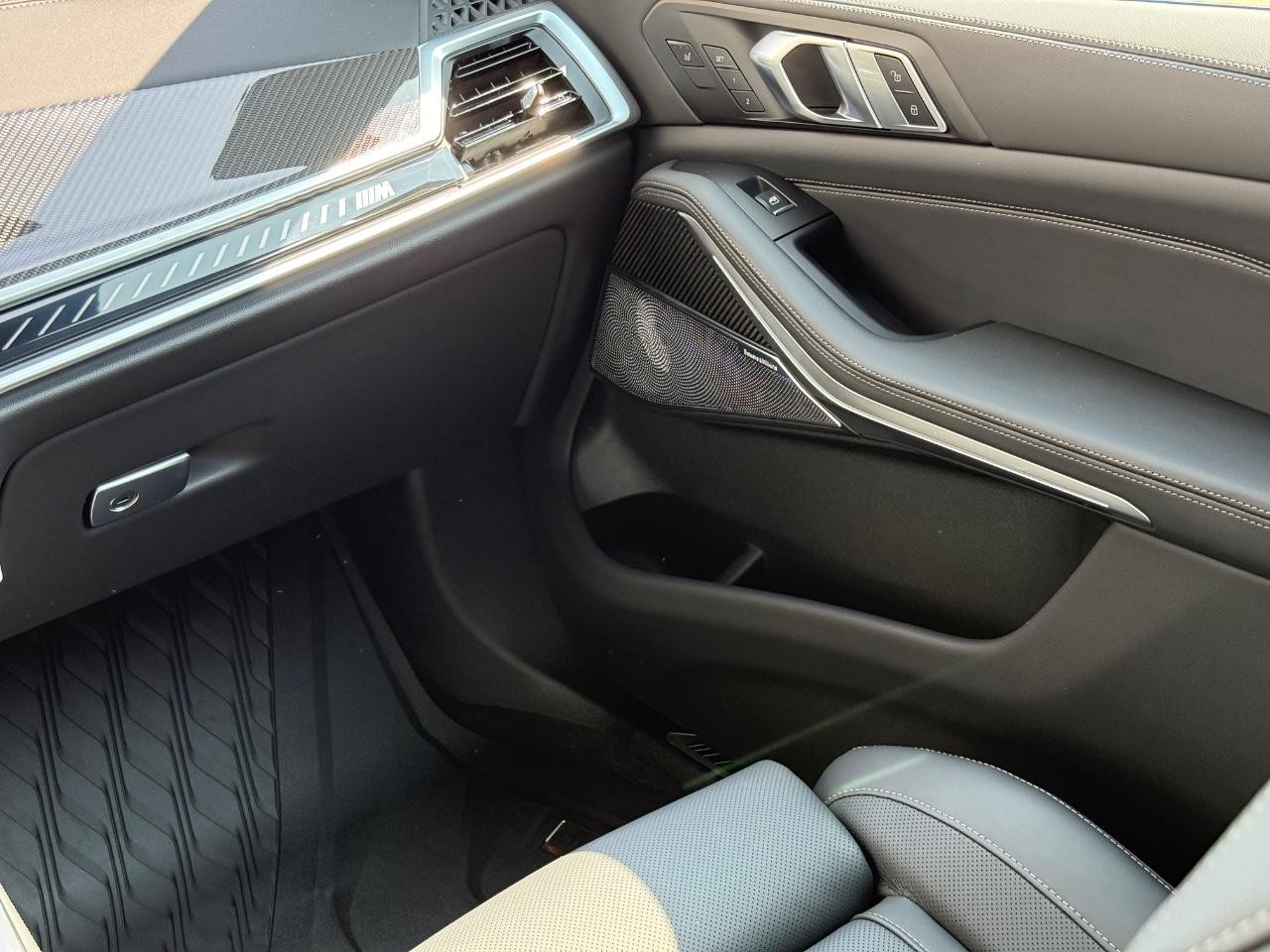 BMW X5 Vehicle Image 10