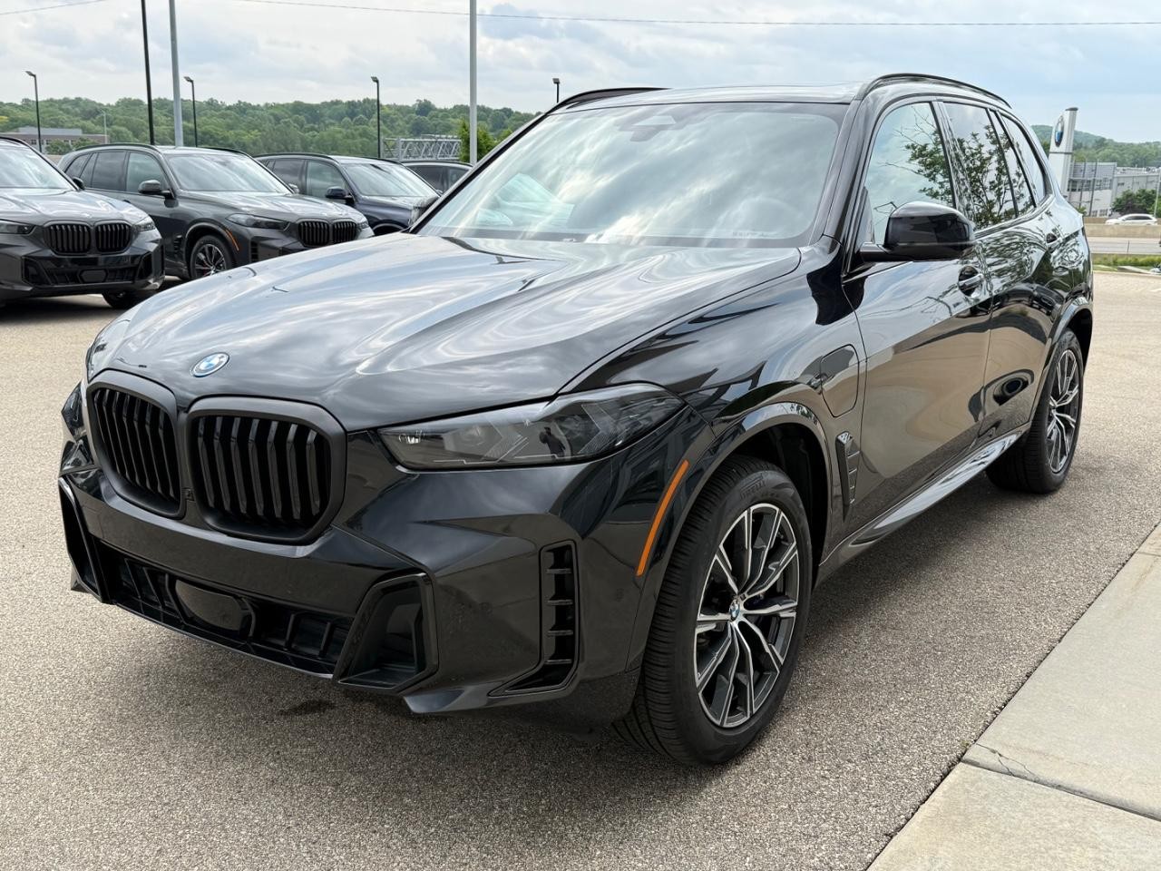 BMW X5 Vehicle Image 08
