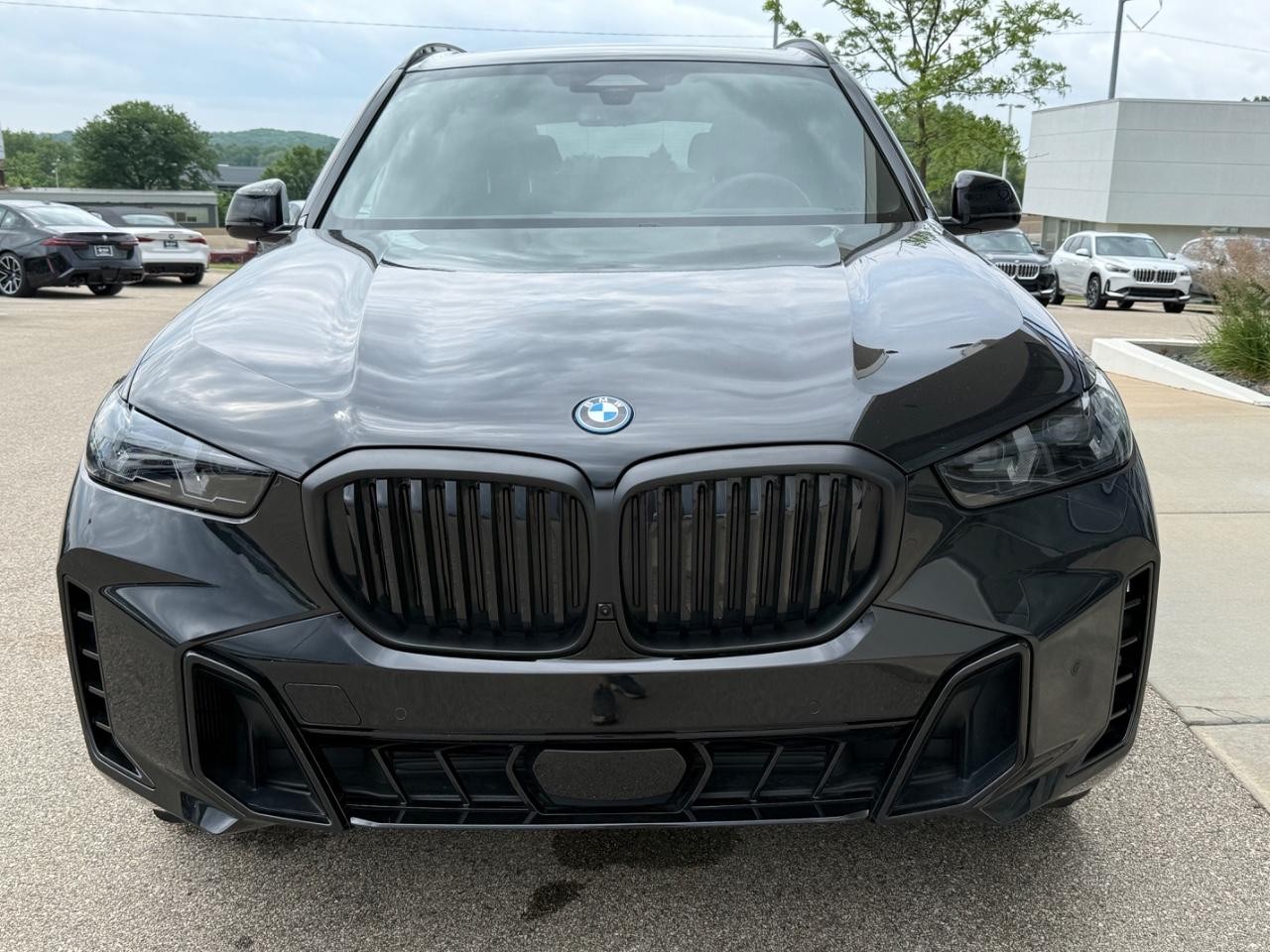 BMW X5 Vehicle Image 09