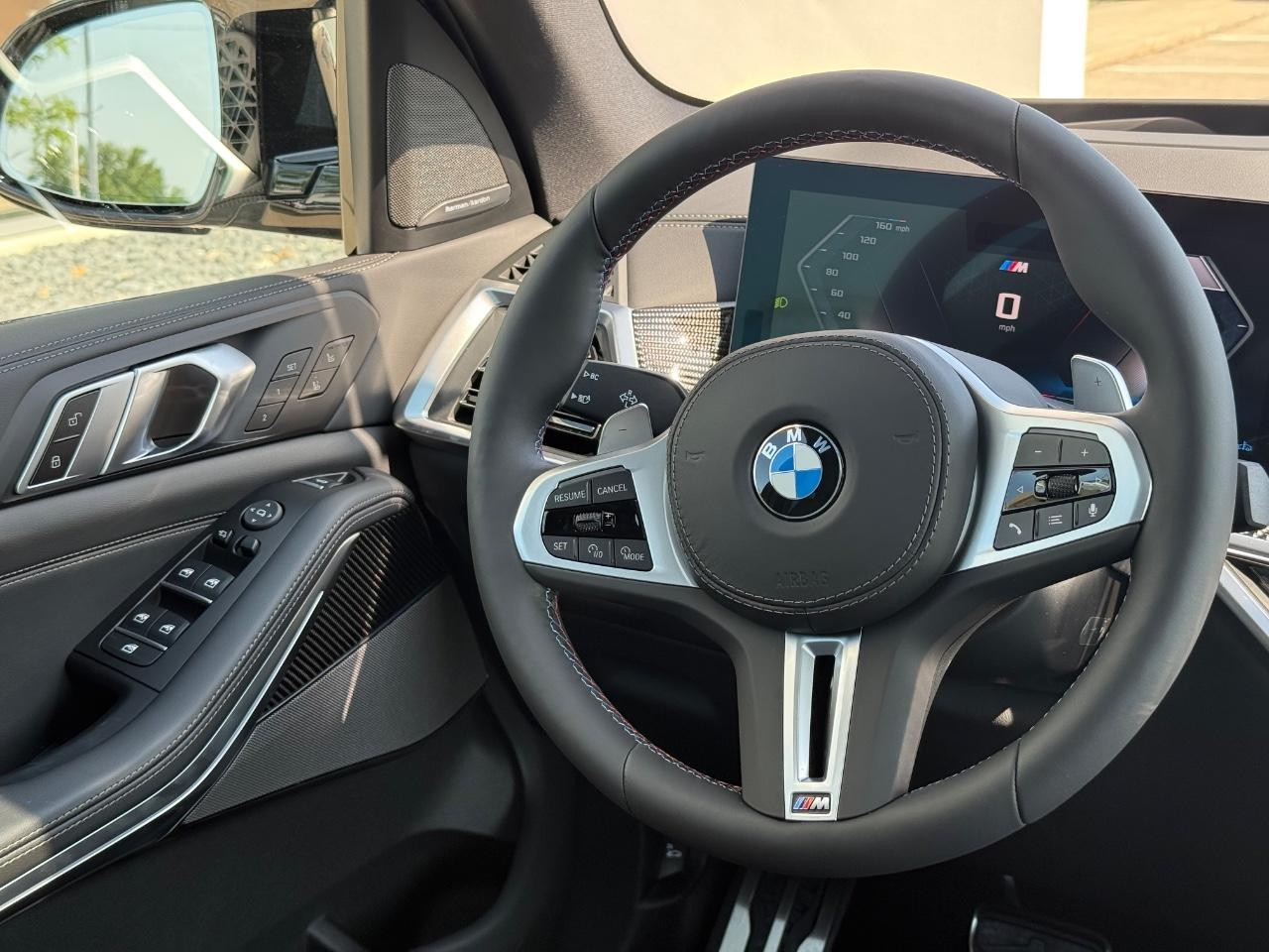 BMW X5 Vehicle Image 09
