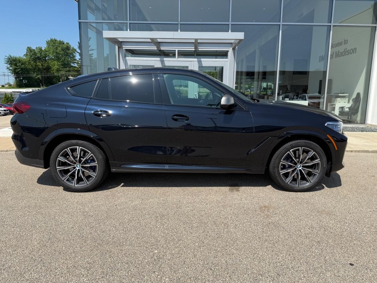 BMW X6 Vehicle Image 02
