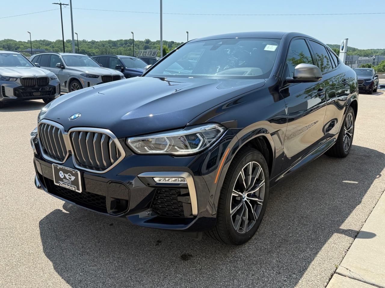 BMW X6 Vehicle Image 07