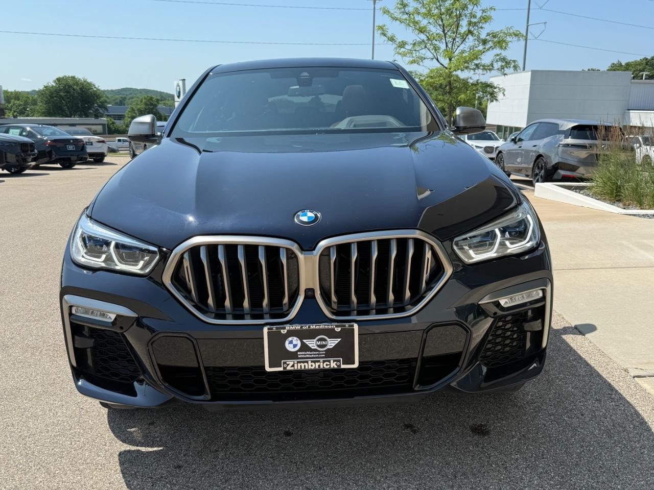 BMW X6 Vehicle Image 08