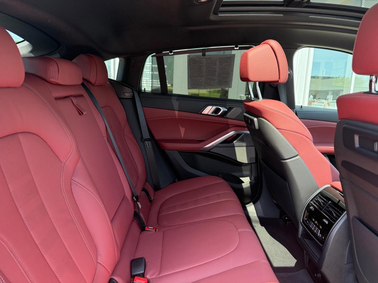 BMW X6 Vehicle Image 09