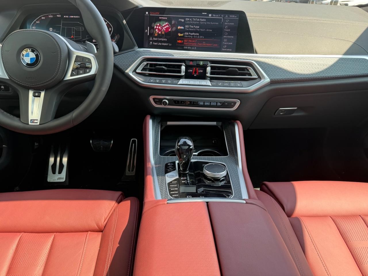 BMW X6 Vehicle Image 10