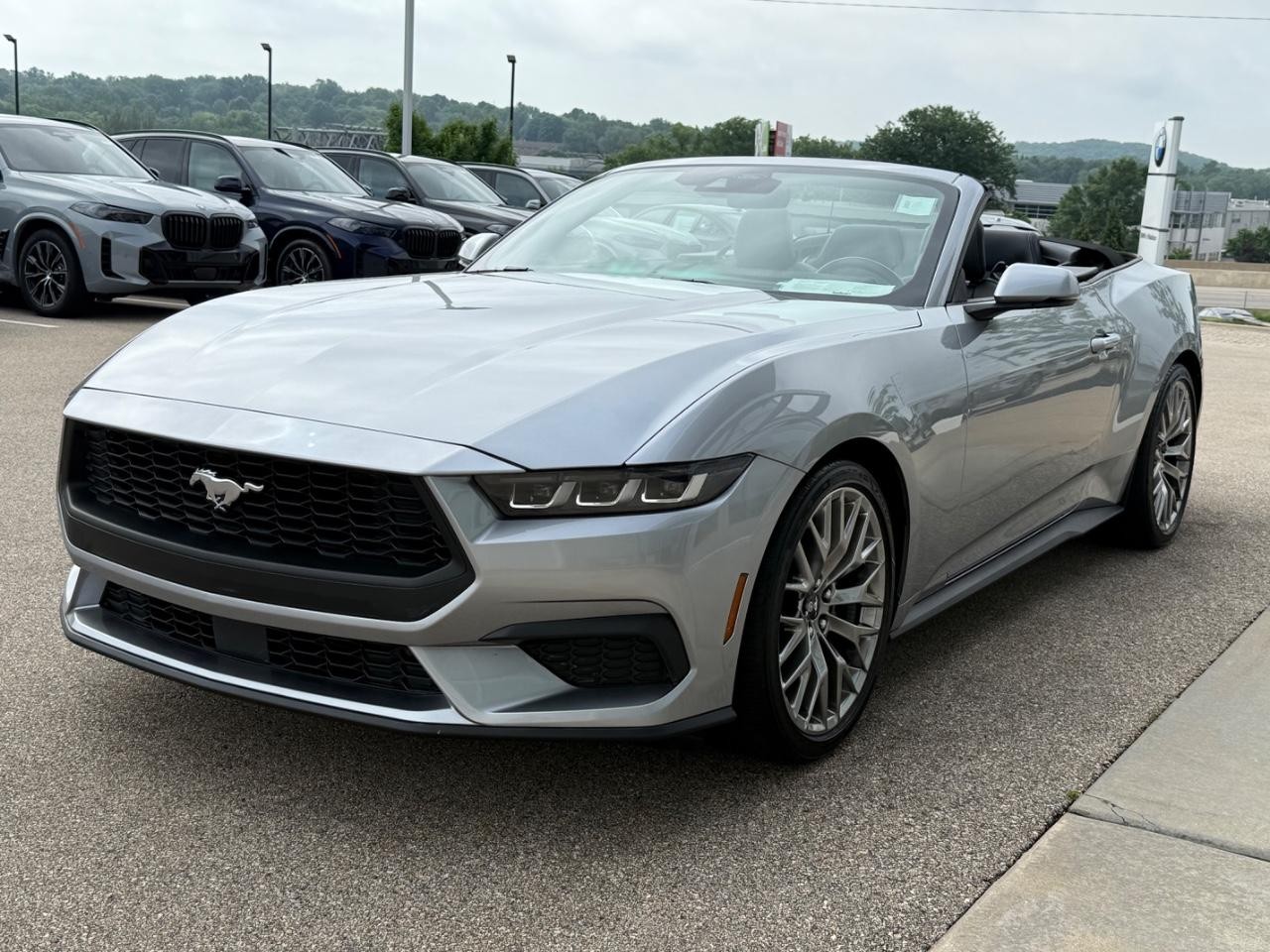 Ford Mustang Vehicle Image 07