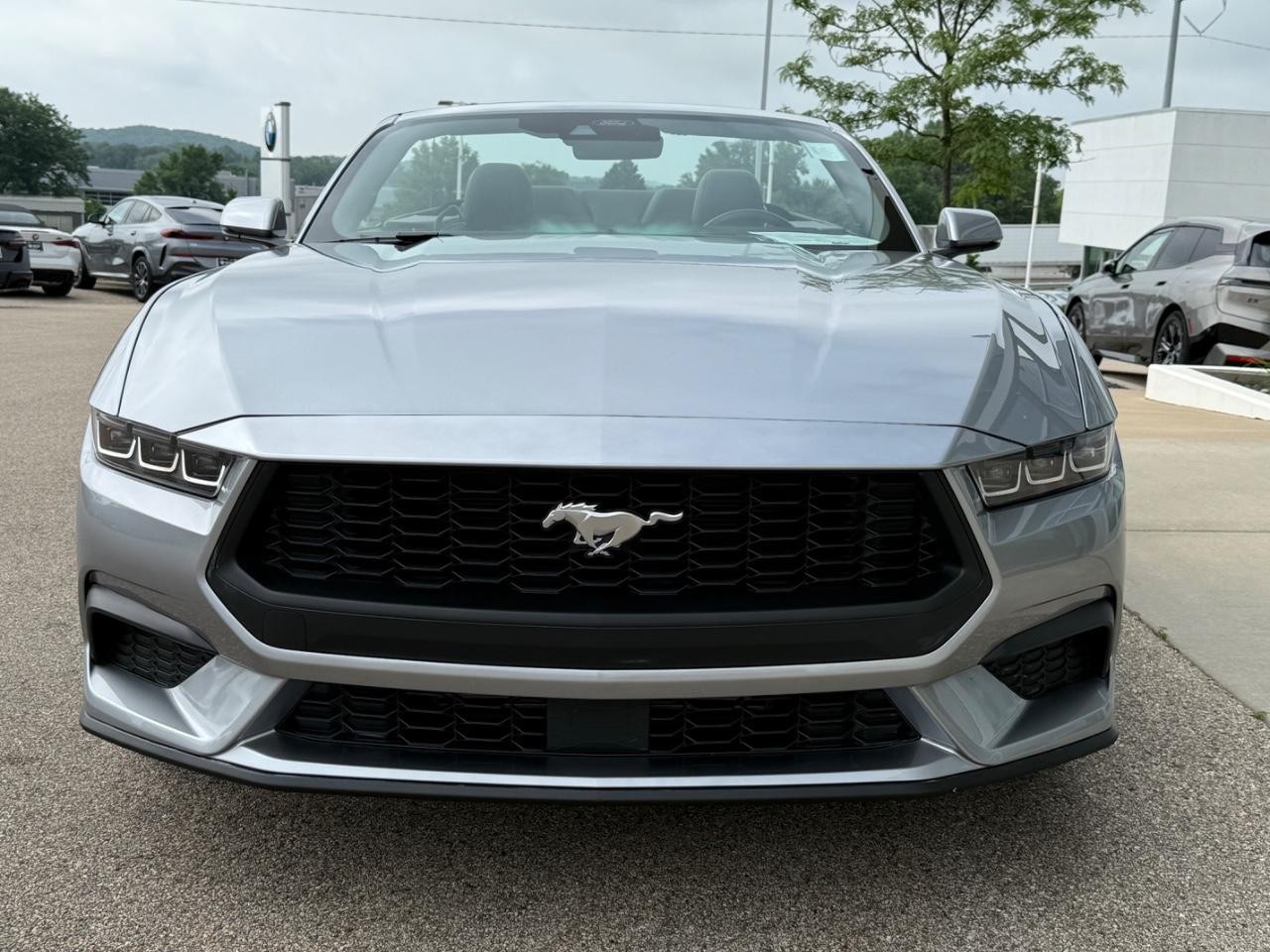 Ford Mustang Vehicle Image 08