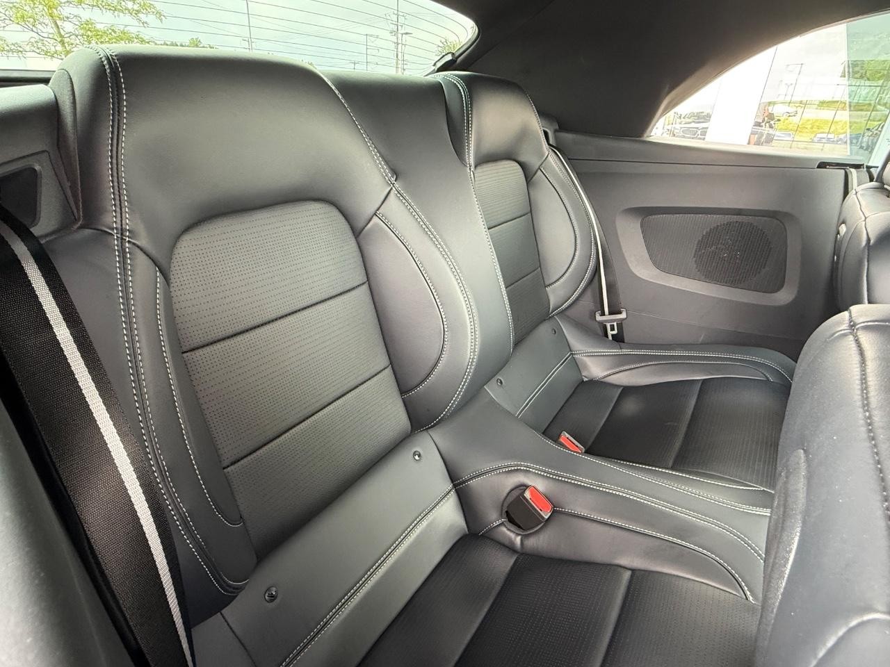 Ford Mustang Vehicle Image 10