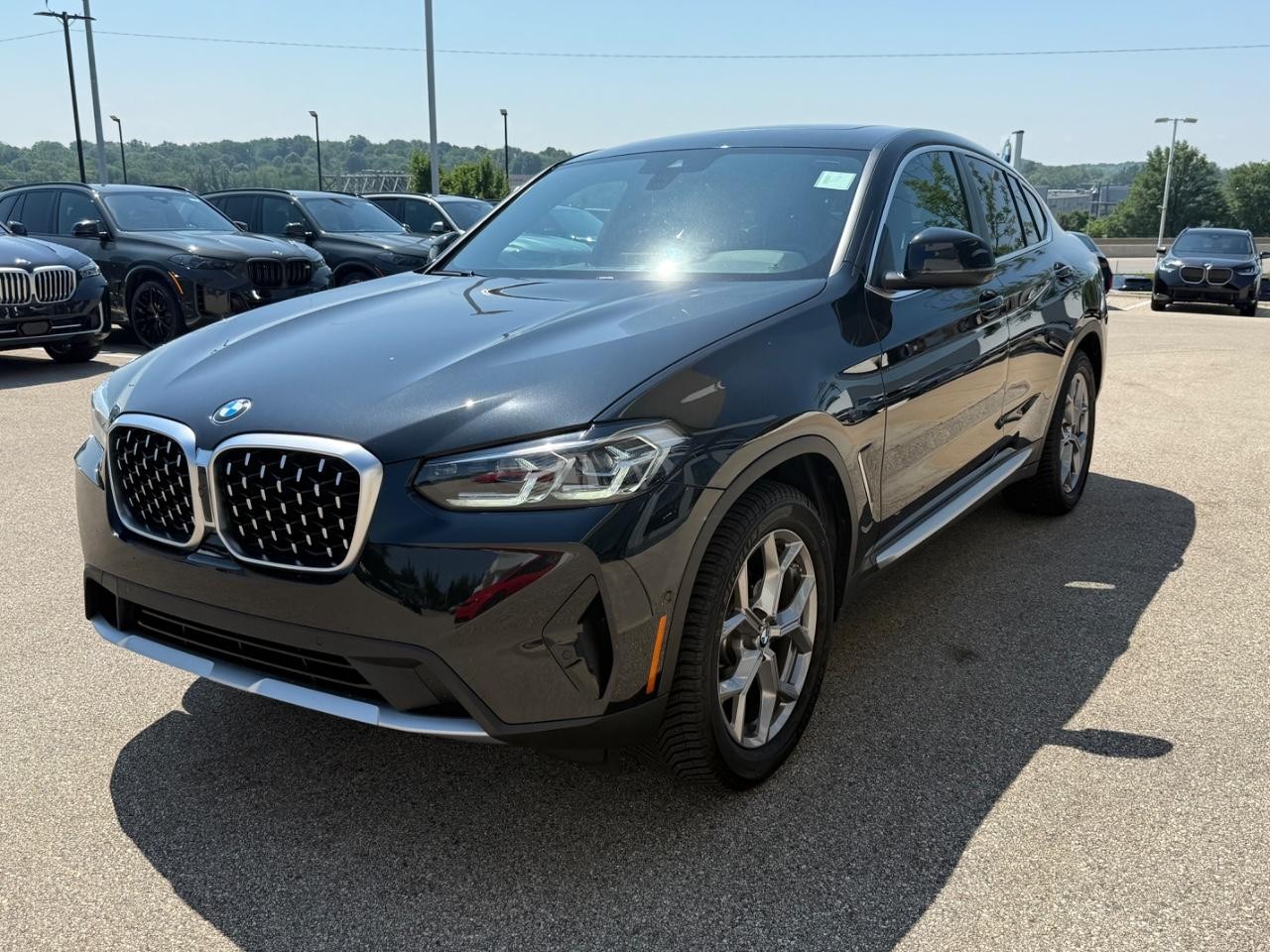 BMW X4 Vehicle Image 07