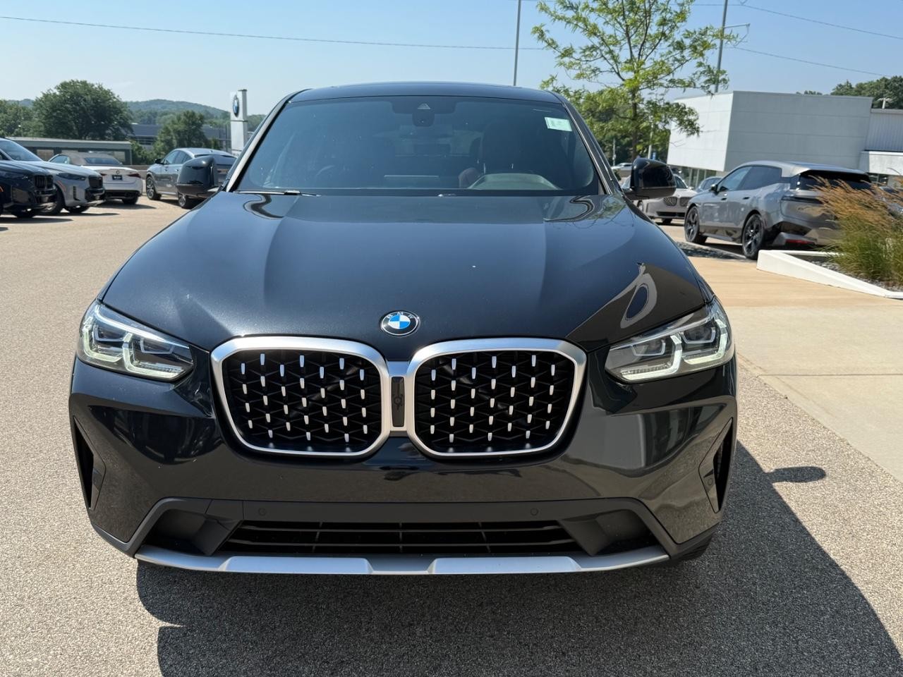 BMW X4 Vehicle Image 08