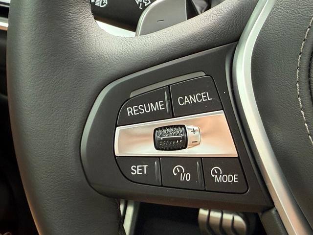 BMW X5 Vehicle Image 12