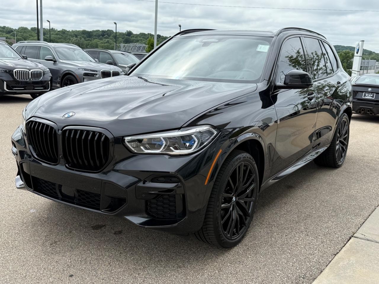 BMW X5 Vehicle Image 08