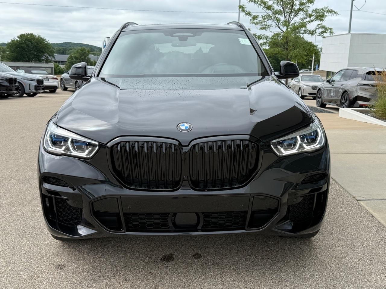 BMW X5 Vehicle Image 09