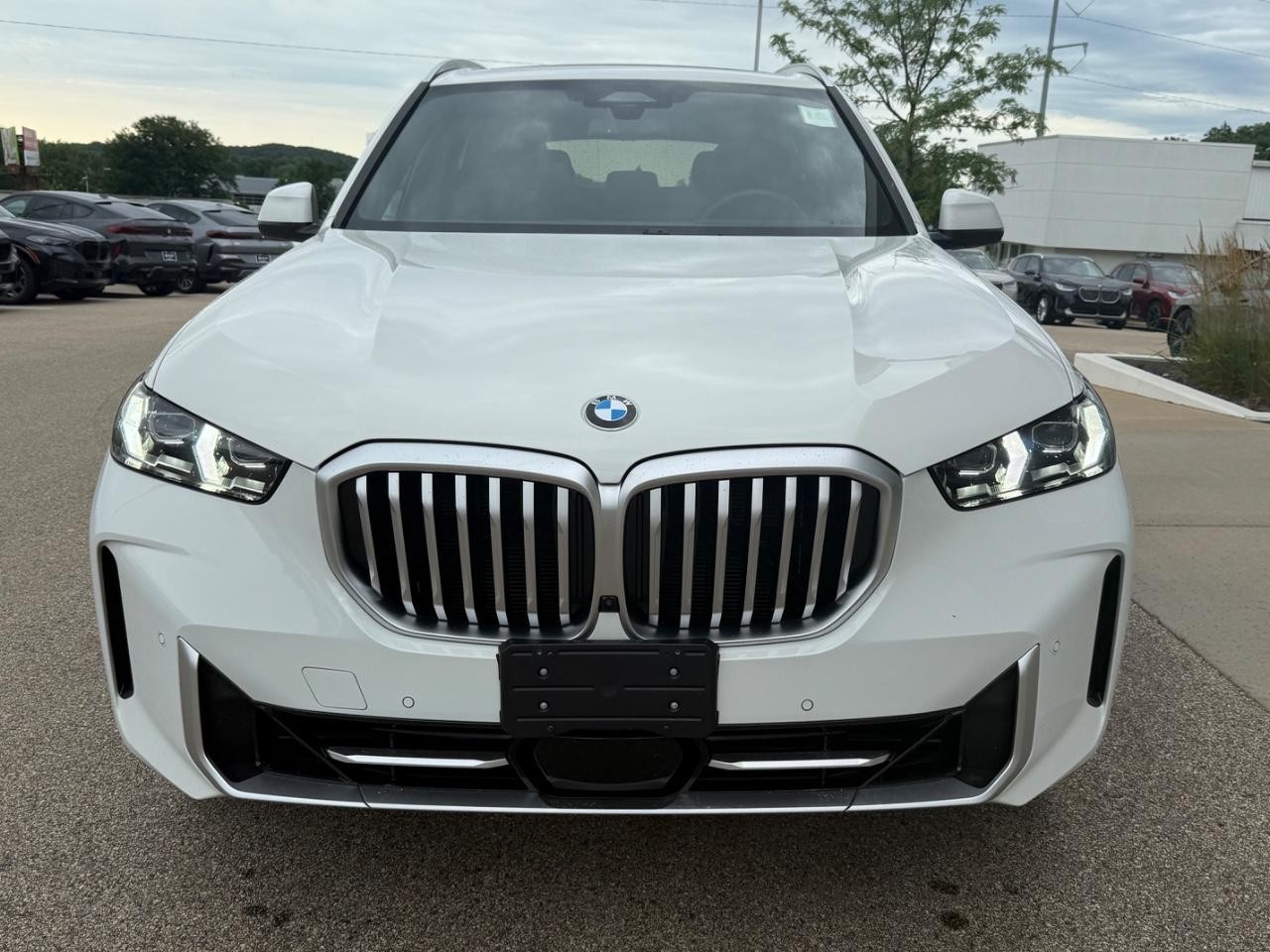 BMW X5 Vehicle Image 09