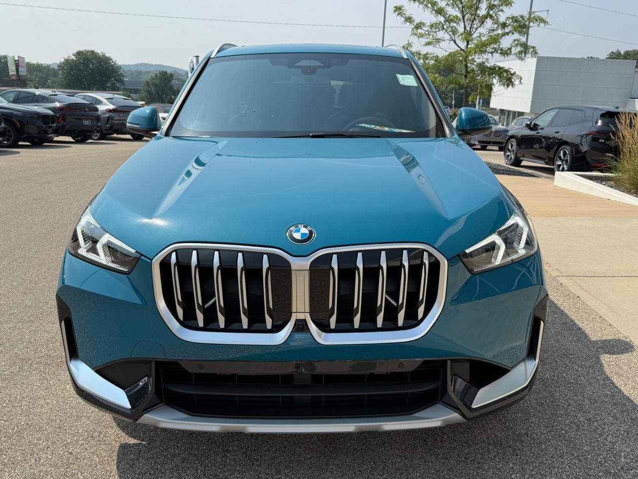 BMW X1 Vehicle Image 09