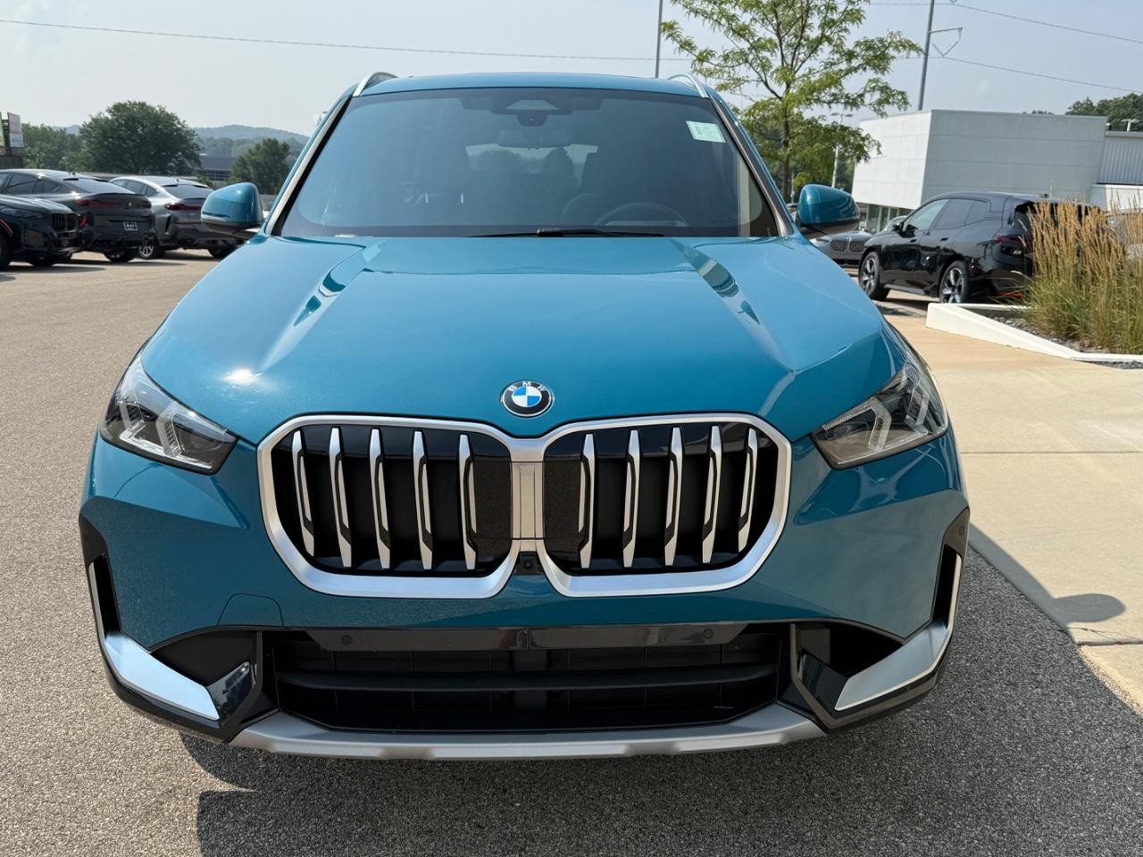 BMW X1 Vehicle Image 09