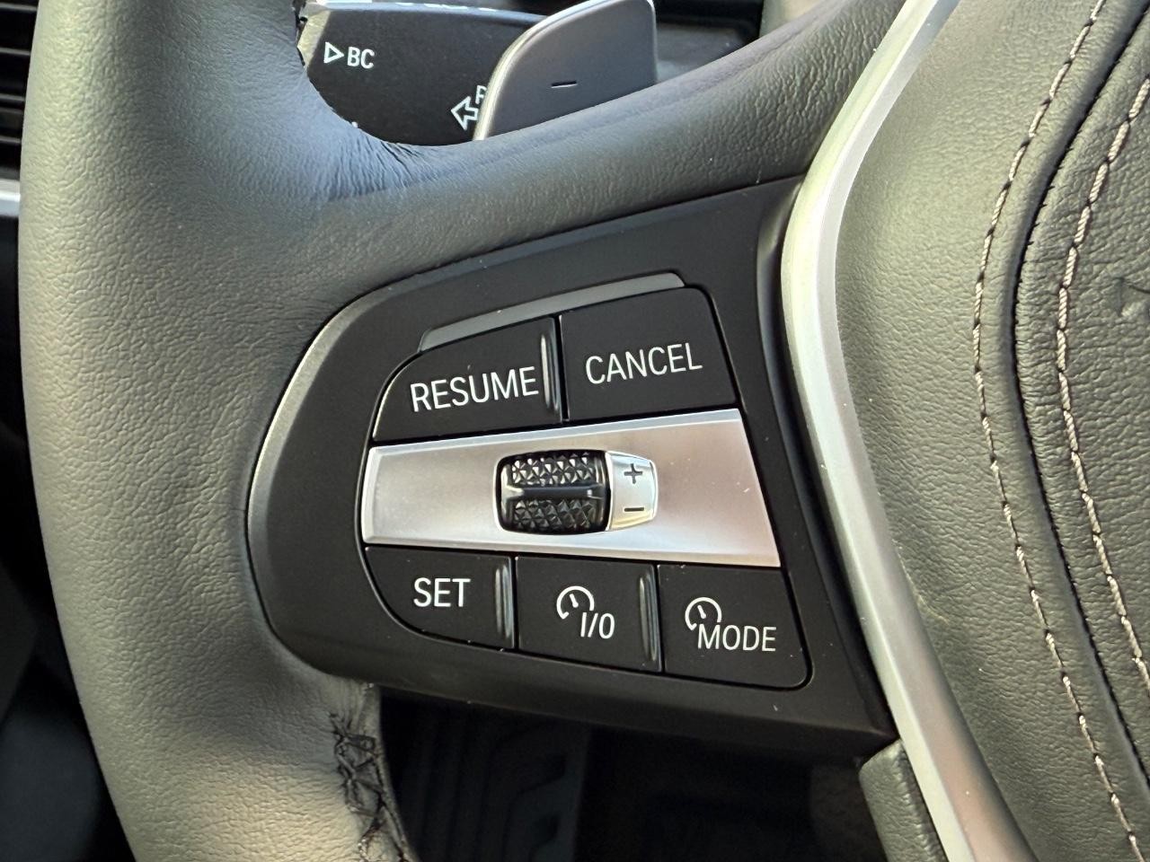 BMW X5 Vehicle Image 12