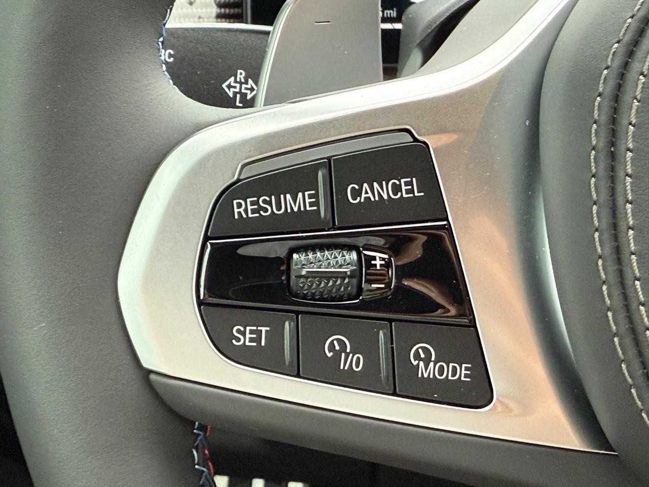 BMW X7 Vehicle Image 13
